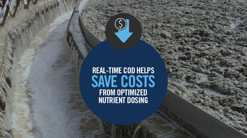 CASE STUDY: REAL-TIME COD HELPS SAVE COSTS FROM OPTIMIZED NUTRIENT DOSING